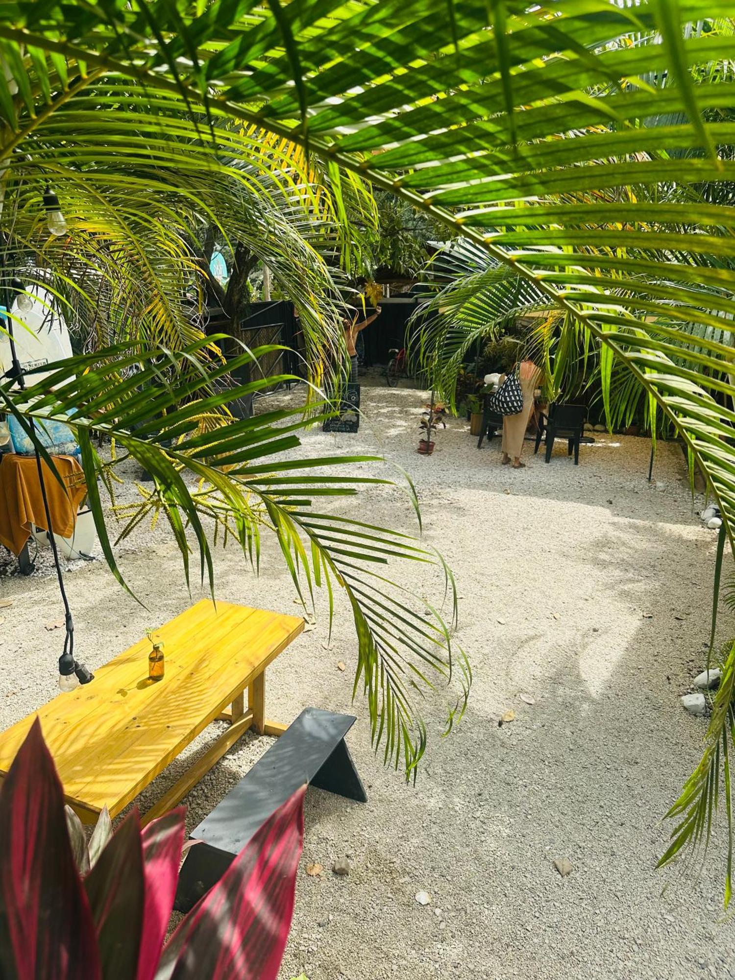 Surf Paradise Playa Santa Teresa  Exterior photo